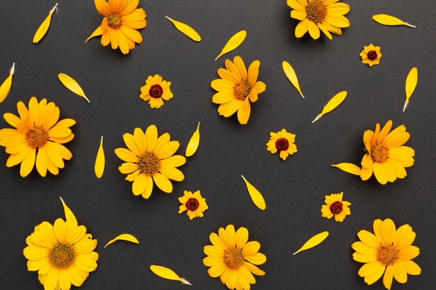 Top view arrangement of flowers