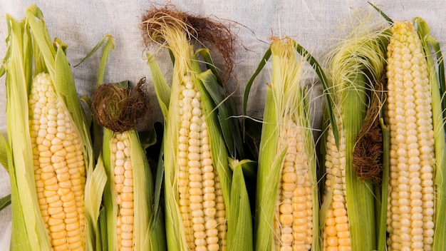 Top view arrangement of maize