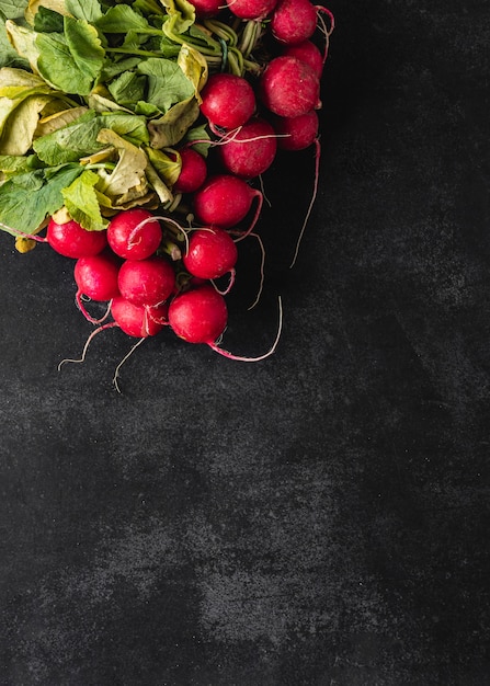 Top view arrangement of radishes