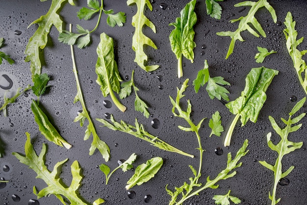 Top view arrangement of salad leaves on the table