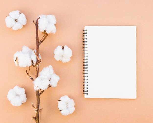 綿の花とノートブックのトップビューの配置