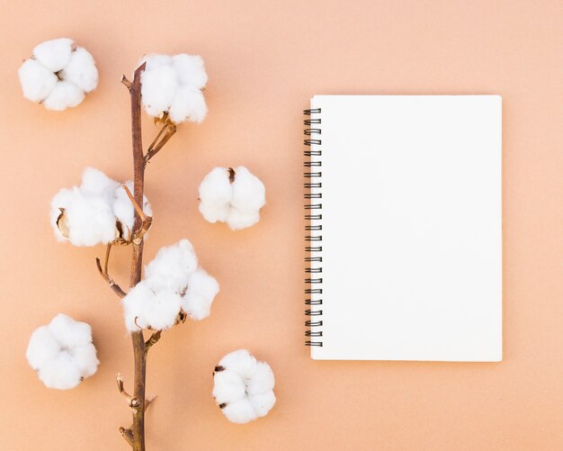 Top view arrangement with cotton flowers and notebook