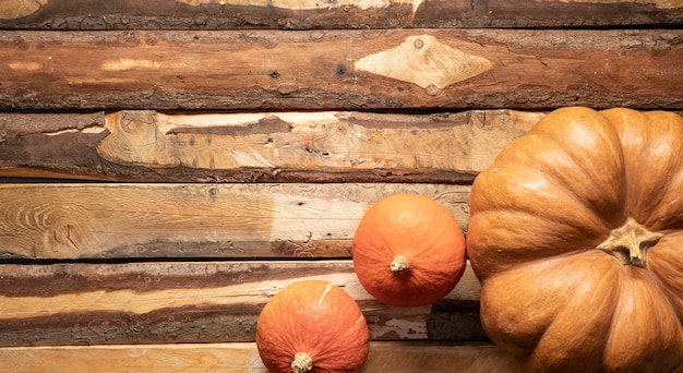 Top view arrangement with different sized pumpkins