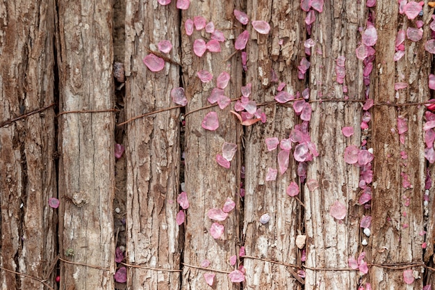 Бесплатное фото Вид сверху композиция с цветами на деревянном фоне