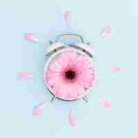 Free photo top view arrangement with pink daisy and clock