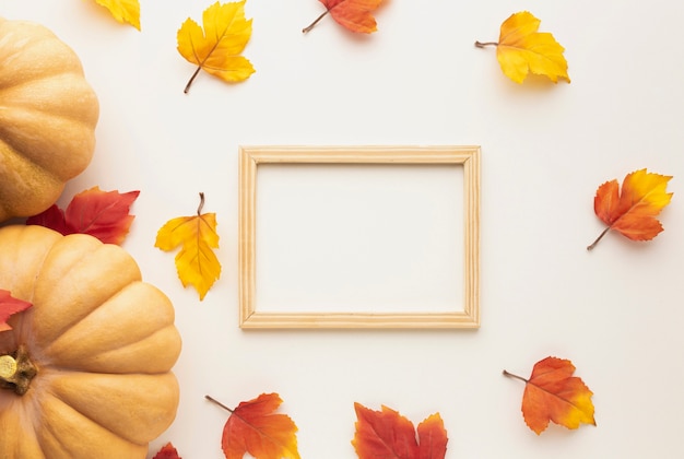 Free photo top view arrangement with pumpkin and leaves