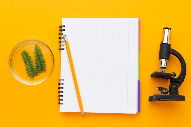 Top view arrangement with study items