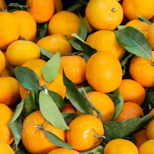 Top view arrangement with  tangerines