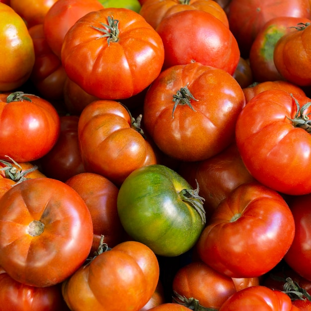 Top view arrangement with tomatoes