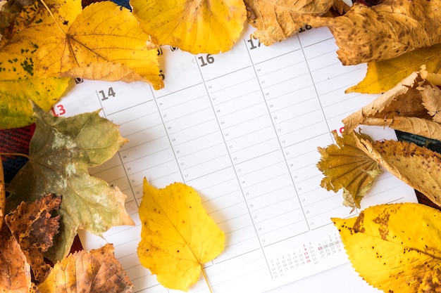 Top view arrangement with yellow leaves on calendar