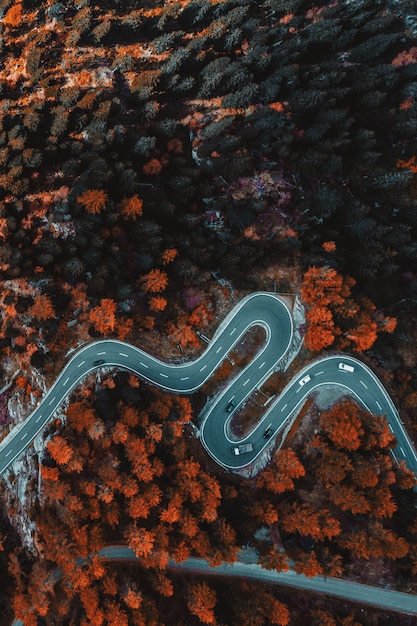 Foto gratuita vista dall'alto della strada asfaltata