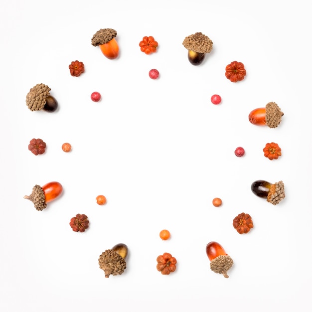 Top view assortment of acorns with copy space