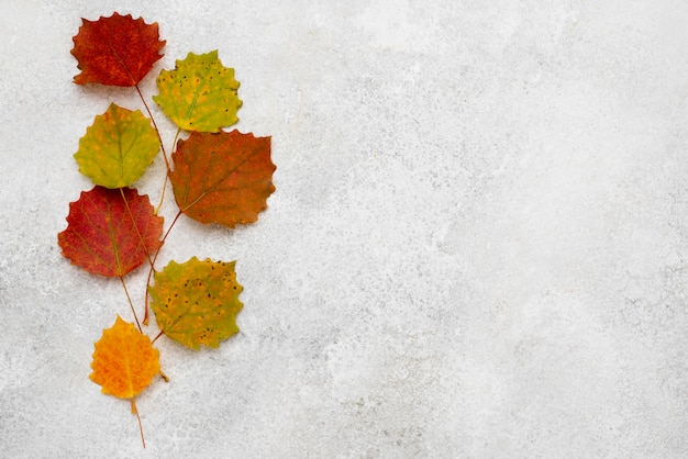 Top view of assortment of autumn leaves with copy space