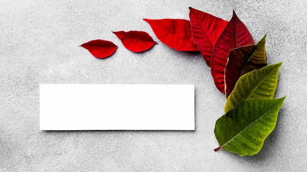 Free photo top view assortment of colorful leaves with empty card