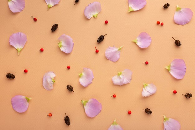 Top view assortment of flowers petals