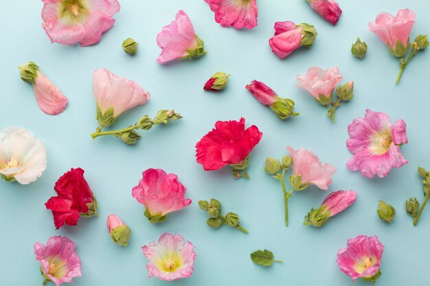 Top view assortment of flowers