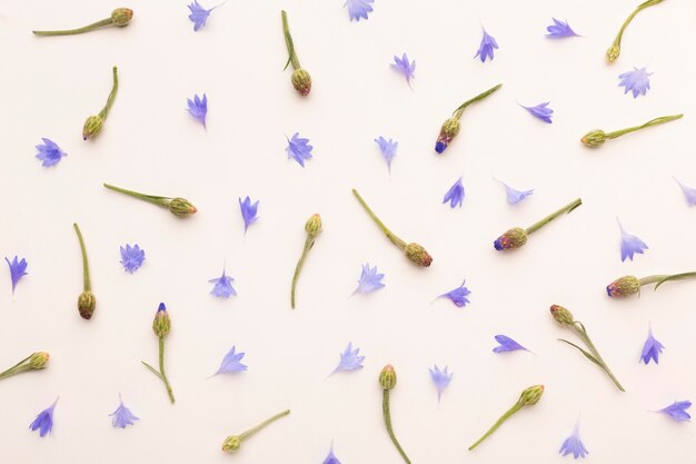 Top view assortment of flowers