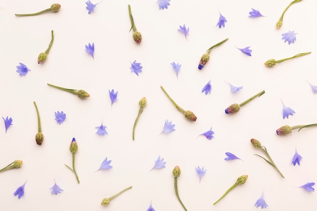 Top view assortment of flowers