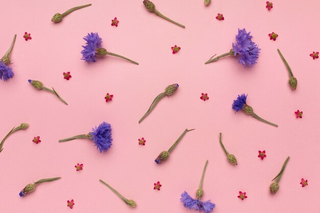 Top view assortment of flowers