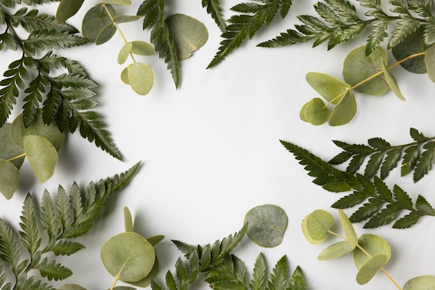 Top view assortment of green leafs