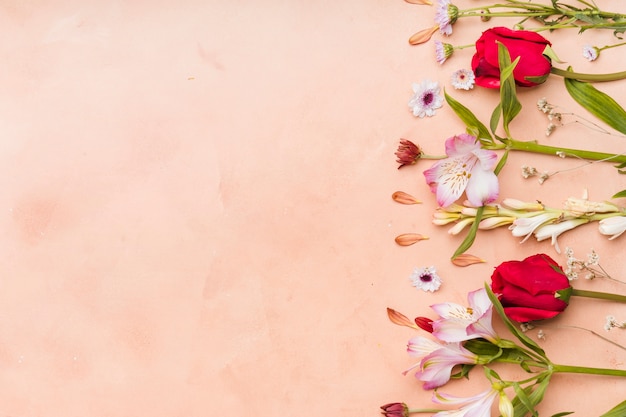 Top view of assortment of multicolored spring flowers with copy space