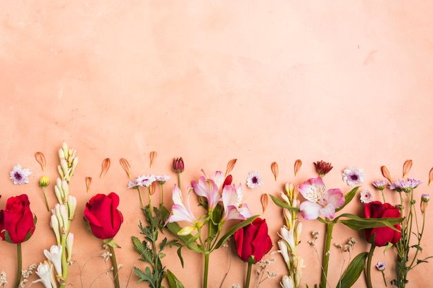 Top view of assortment of multicolored spring flowers