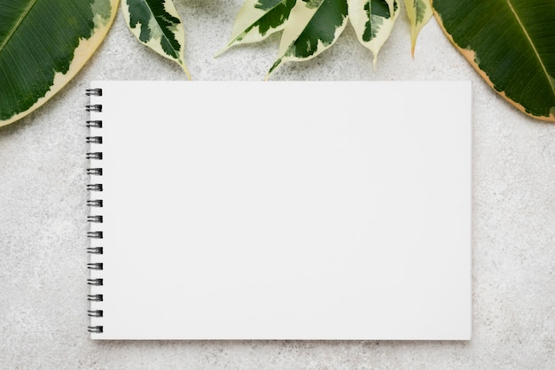 Top view of assortment of plant leaves with notebook