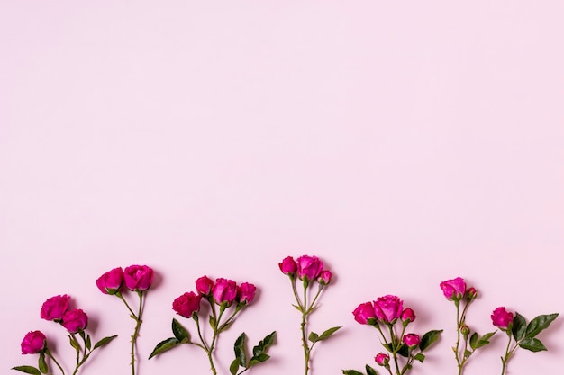 Top view assortment of roses with copy space