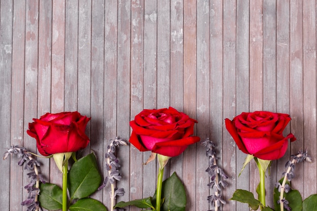 Top view assortment of roses with copy space