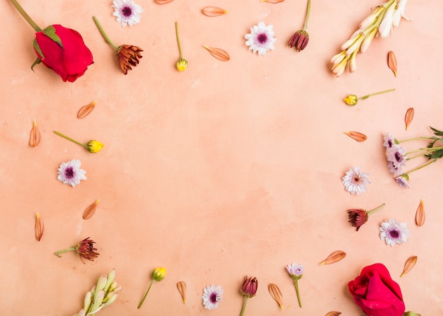 Top view assortment of spring flowers