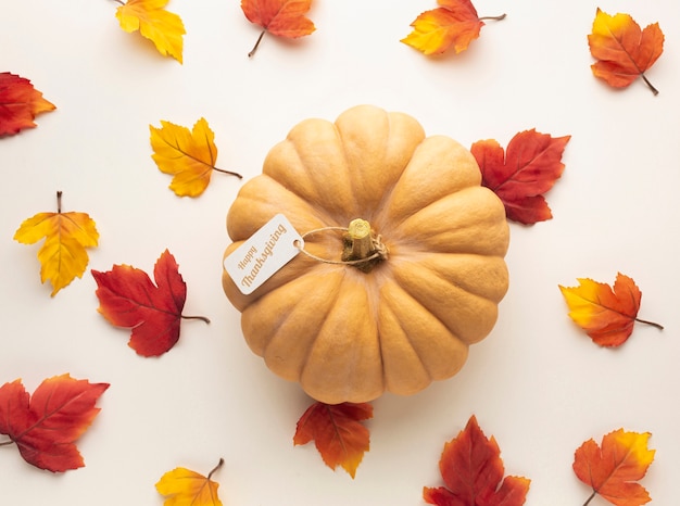 Top view assortment with big pumpkin and leaves