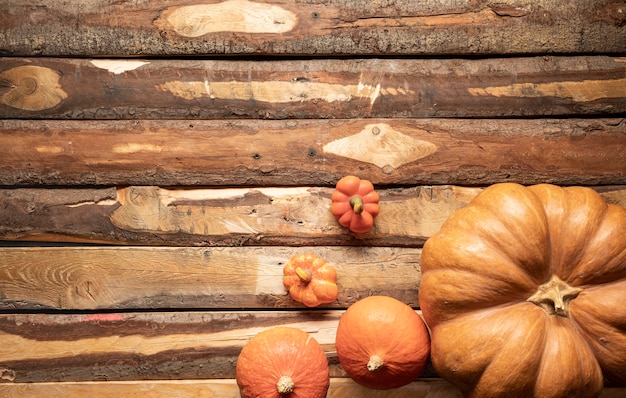 Top view assortment with different sized pumpkins