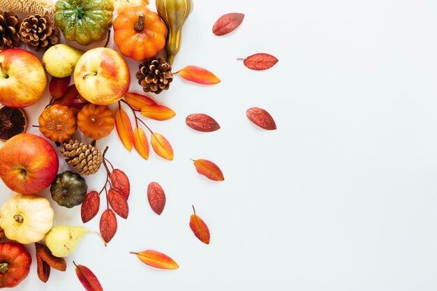 Top view autumn arrangement on white background