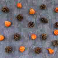 Free photo top view autumn concept with pine cones