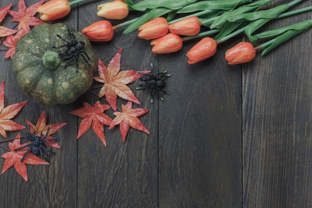 Foto gratuita elementi di autunno di vista superiore su priorità bassa scura