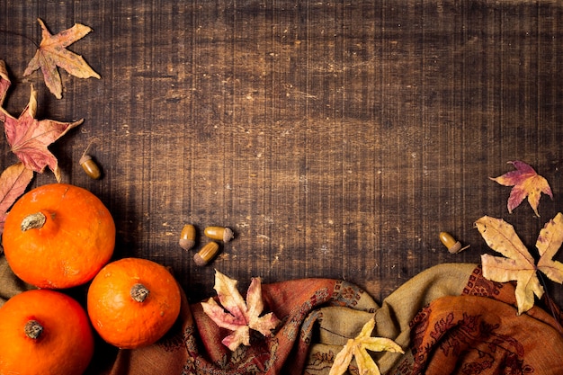 Top view of autumn elements with leaves and copy space