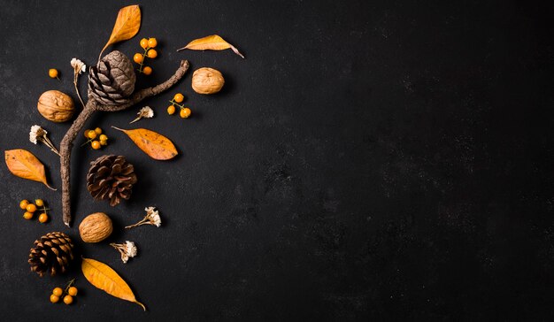 Top view of autumn elements with pine cones and copy space