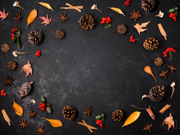 Top view of autumn elements with pine cones and leaves