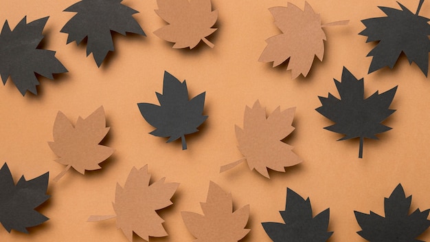 Free photo top view autumn leaves assortment