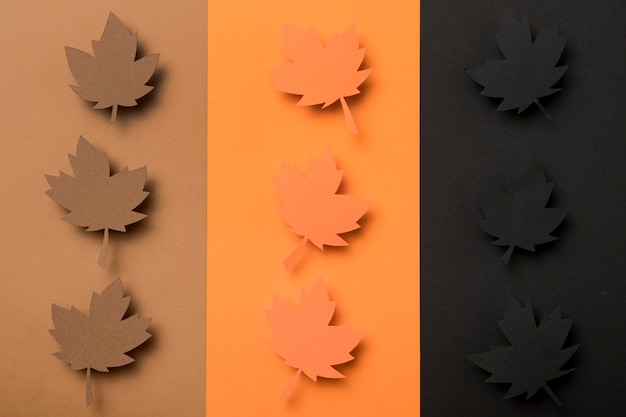 Free photo top view autumn leaves assortment