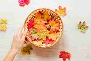 Free photo top view autumn leaves in a basket