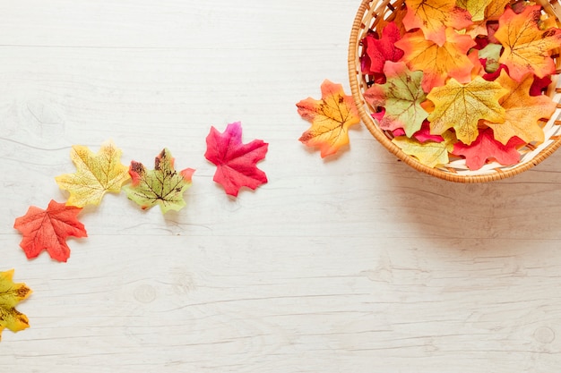 Free photo top view autumn leaves in a basket