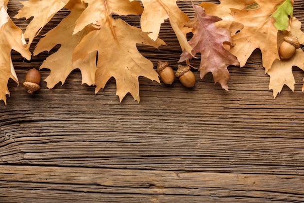 Free photo top view of autumn leaves and copy space