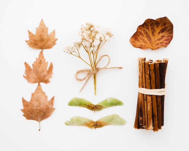 Free photo top view autumn leaves flat lay