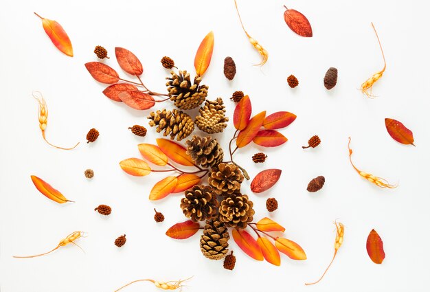 Top view autumn leaves on white background