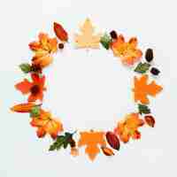 Free photo top view autumn leaves on white background