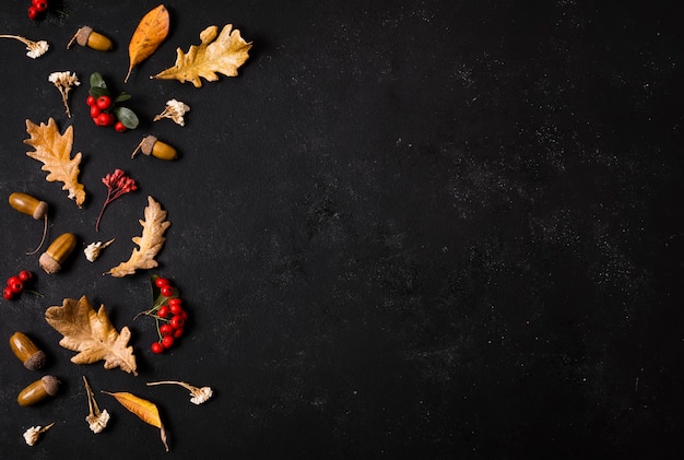 Free photo top view of autumn leaves with acorns and copy space