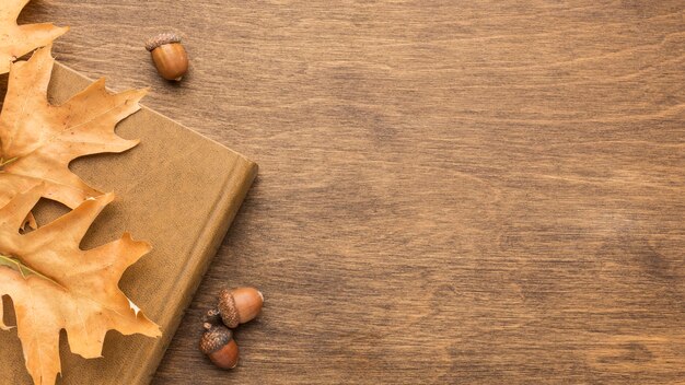 Top view of autumn leaves with book and copy space