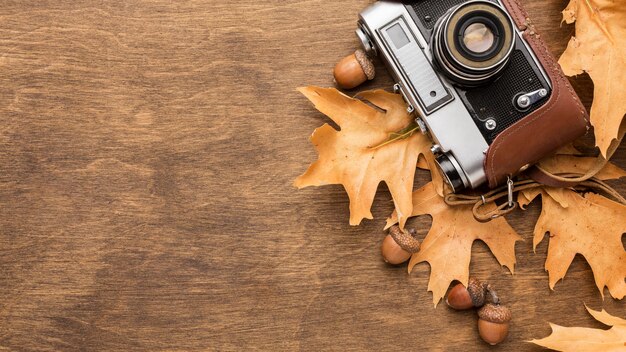 Top view of autumn leaves with camera and acorns