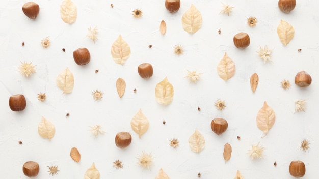 Top view of autumn leaves with chestnuts